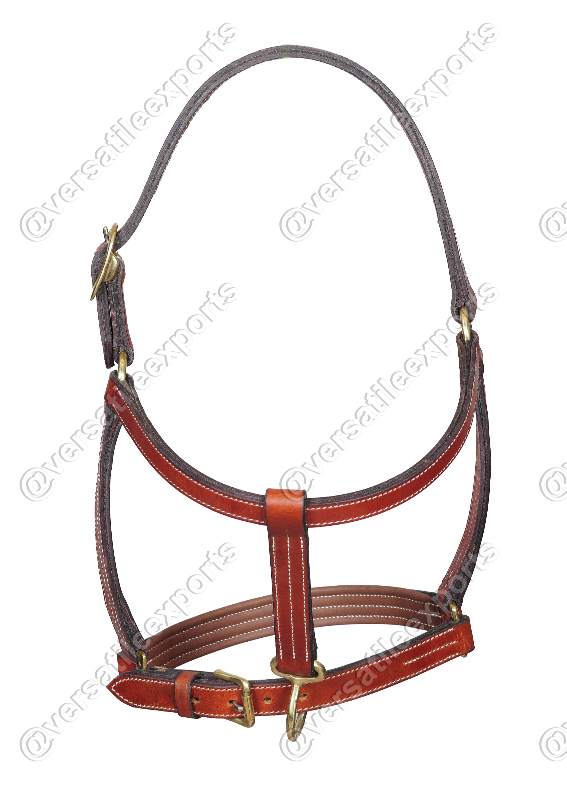 Halter Draft